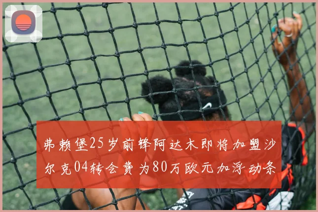 弗赖堡25岁前锋阿达木即将加盟沙尔克04转会费为80万欧元加浮动条件